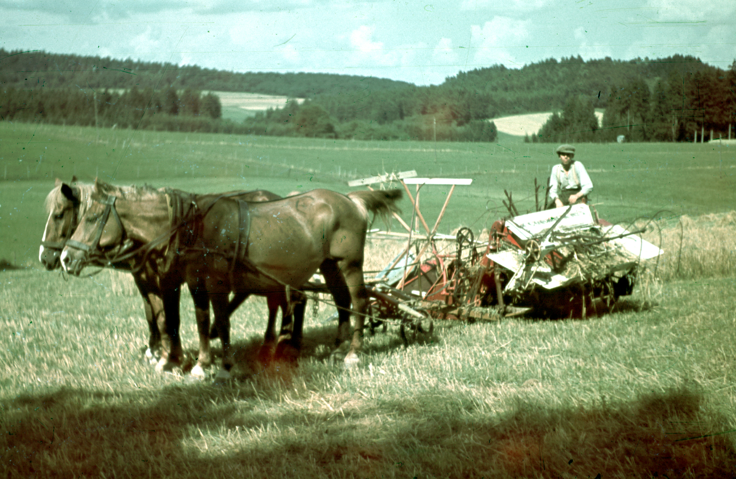 Von Pferden gezogene Mähmaschine