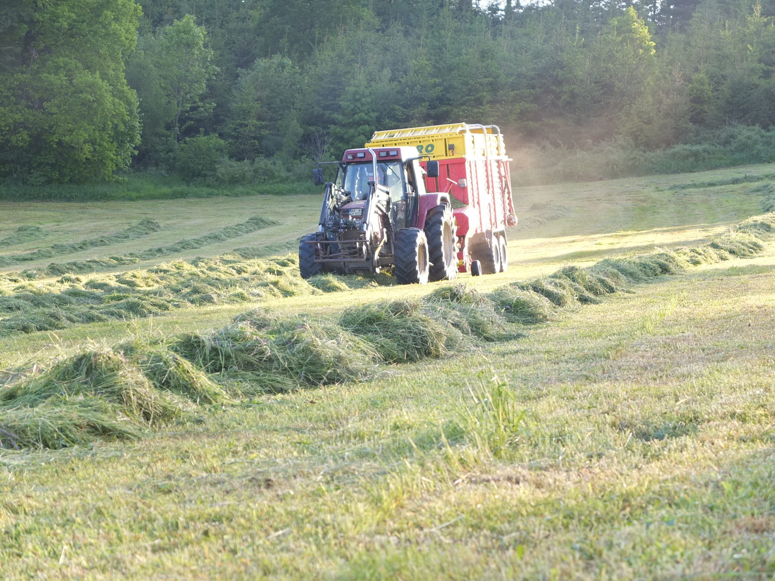 Traktor mit Ladewagen im Einsatz